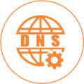 dns managment